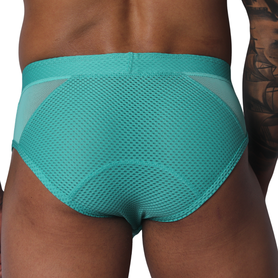 Evocative Aqua Brief vista posterior de Gigo Underwear