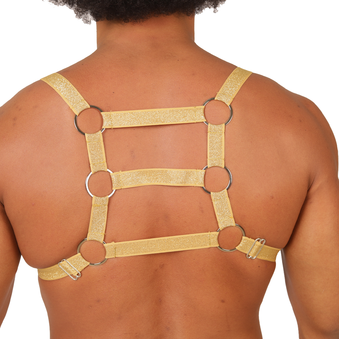HIT GOLD HARNESS - Arnés Fetiche Masculino con Diseño Atrevido