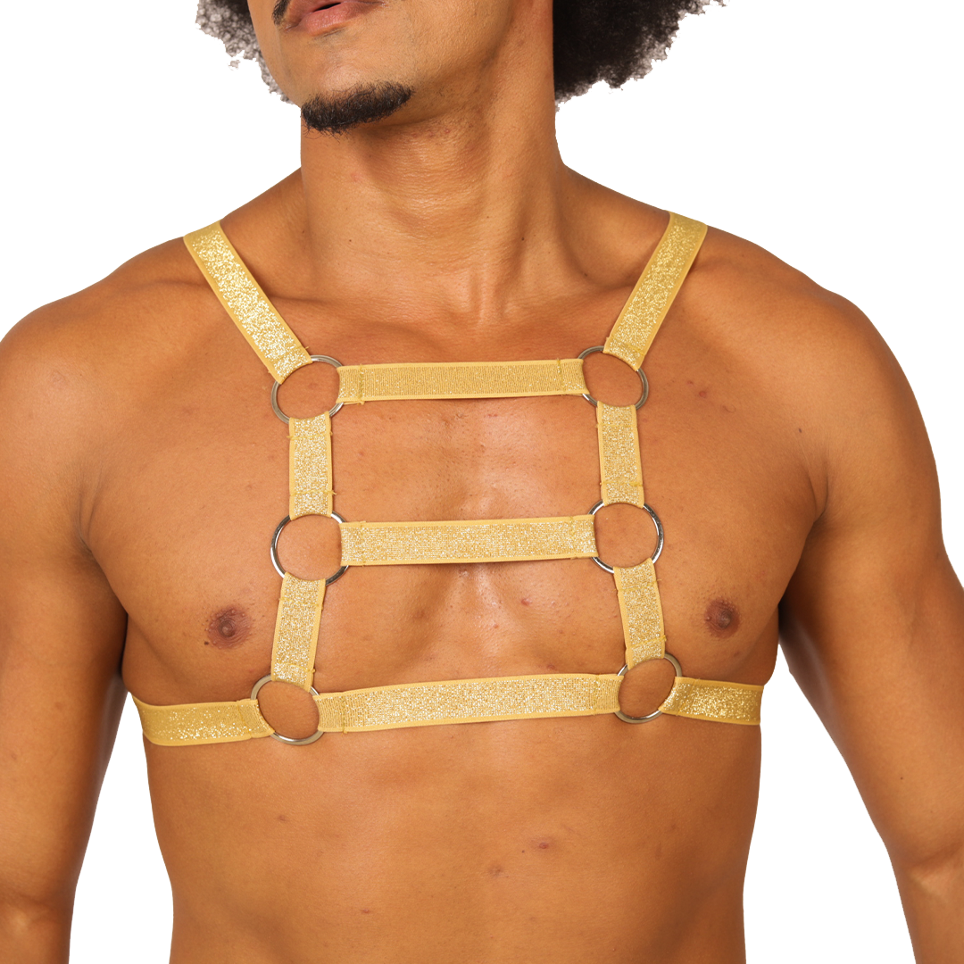 HIT GOLD HARNESS - Arnés Fetiche Masculino con Diseño Atrevido