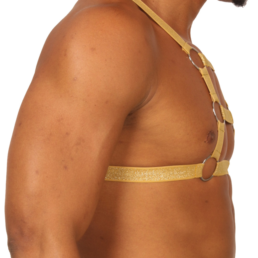 HIT GOLD HARNESS - Arnés Fetiche Masculino con Diseño Atrevido