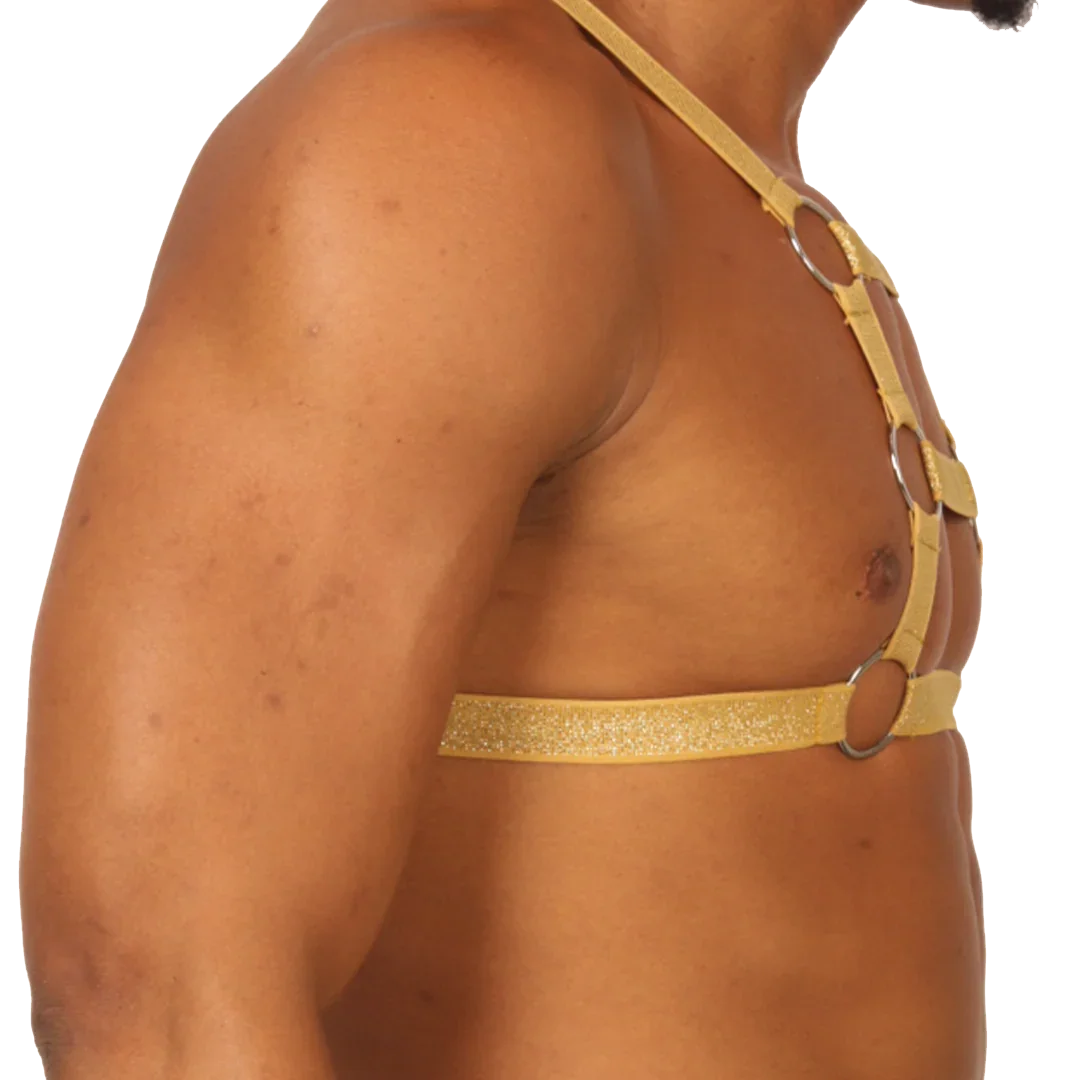 HIT GOLD HARNESS - Gigo Underwear Colombia