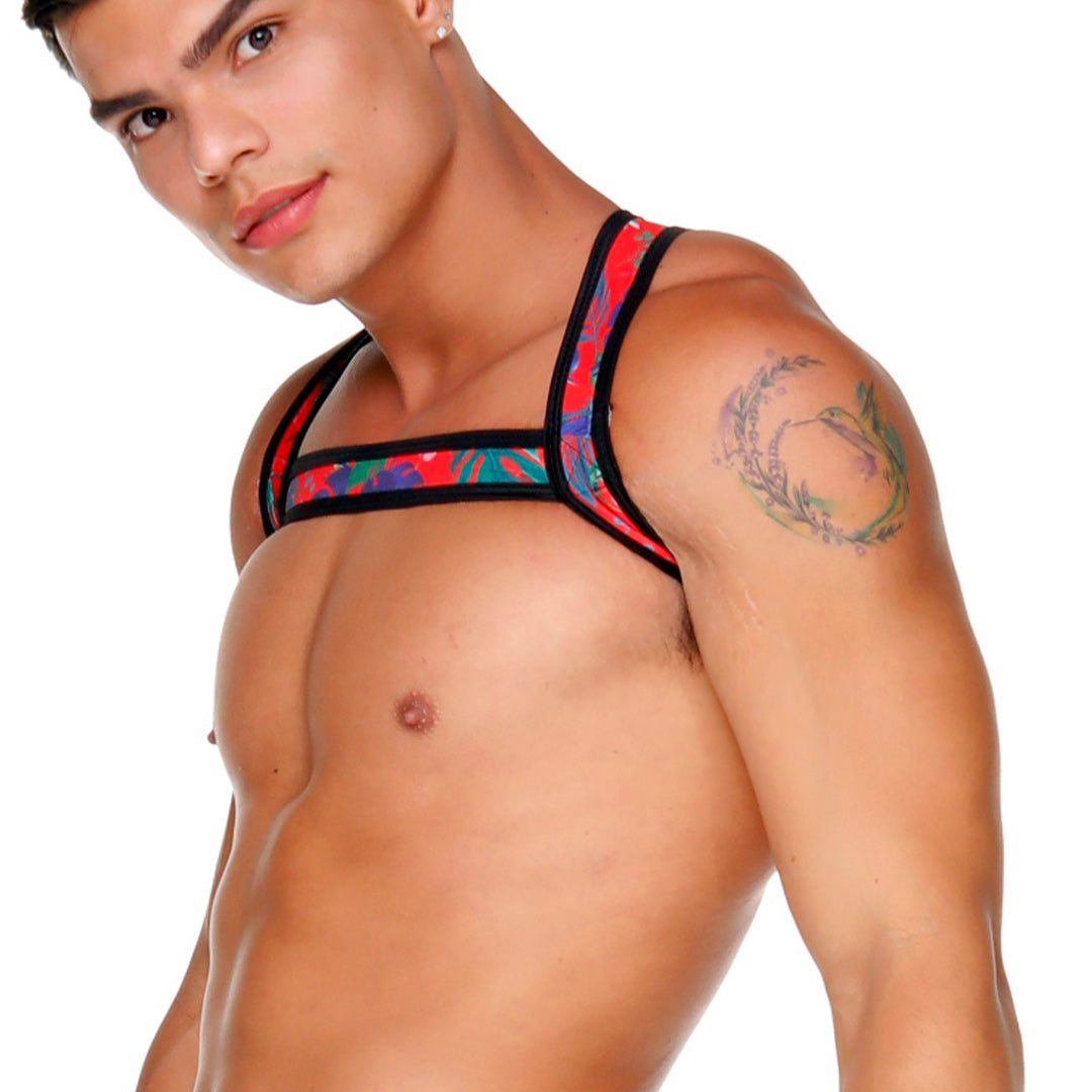 Macaws Red Harness vista posterior de Gigo Underwear