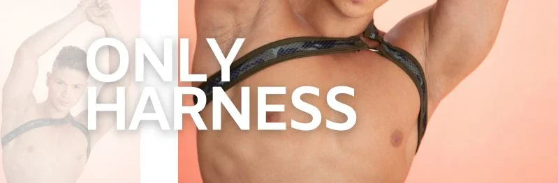 Harness para hombre Gigo Underwear: guía completa de estilo, sensualidad y poder