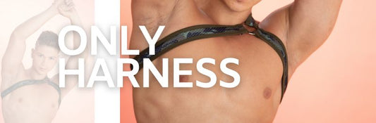 HARNESS PARA HOMBRE GIGO UNDERWEAR: GUÍA COMPLETA DE ESTILO, SENSUALIDAD Y PODER