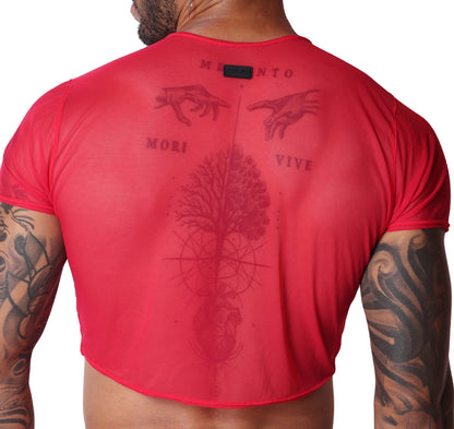 Spectrum Red Crop Top vista posterior de Gigo Underwear