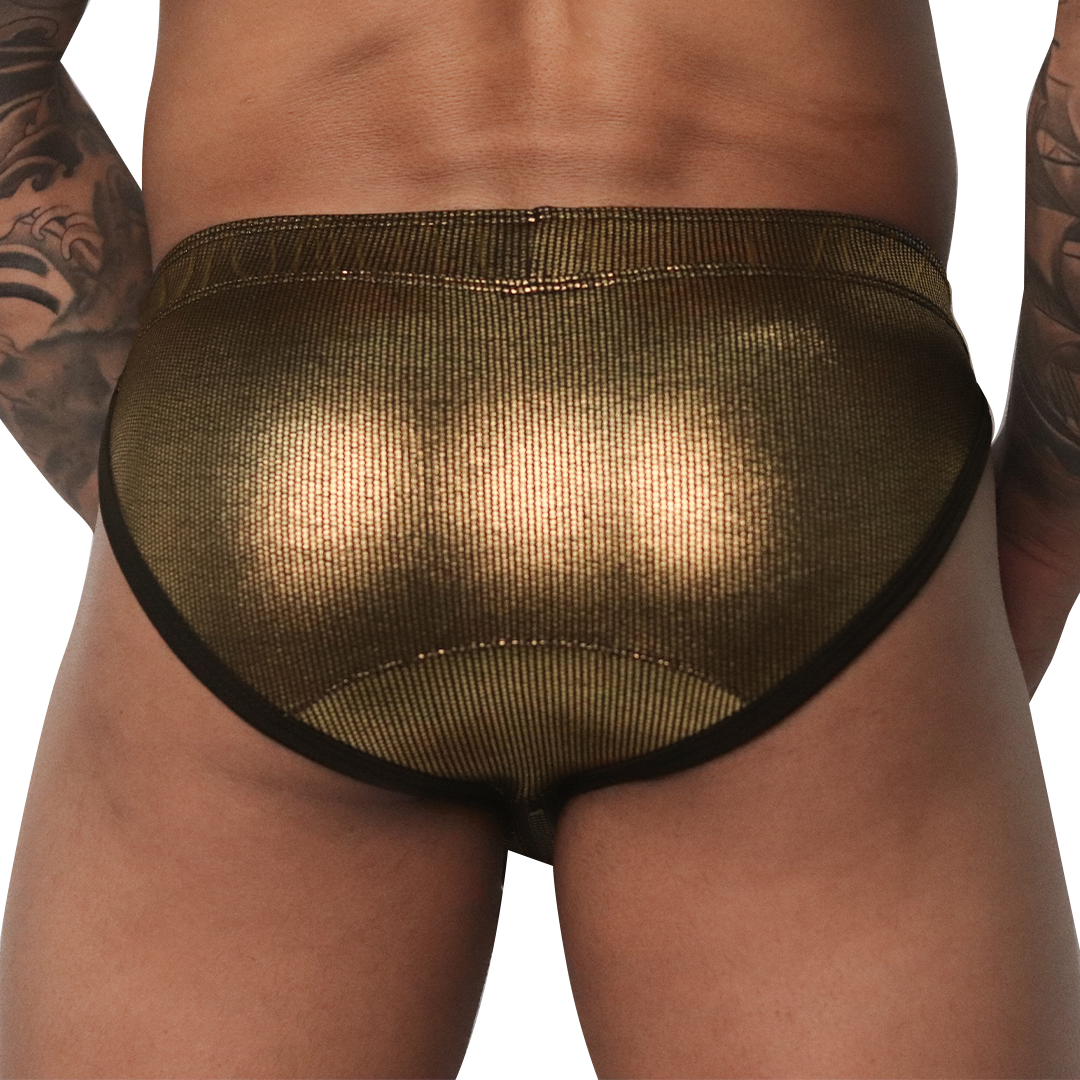 Splendor Brief vista posterior de Gigo Underwear